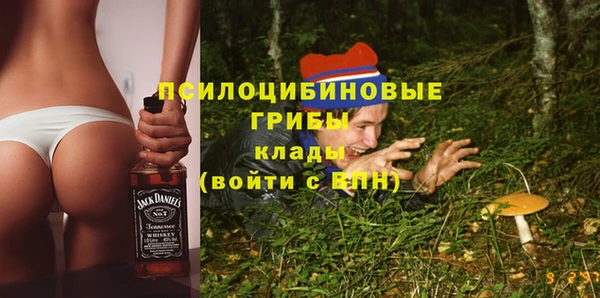 гашик Беломорск