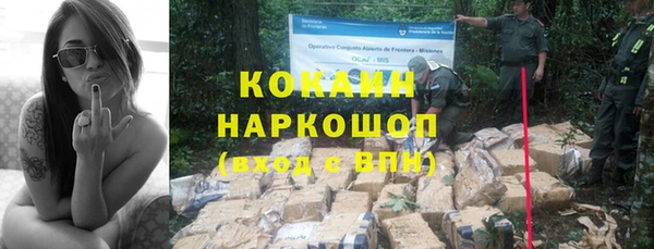 гашик Беломорск