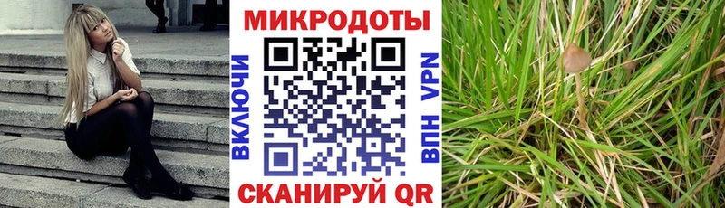 Псилоцибиновые грибы ЛСД  Краснотурьинск 